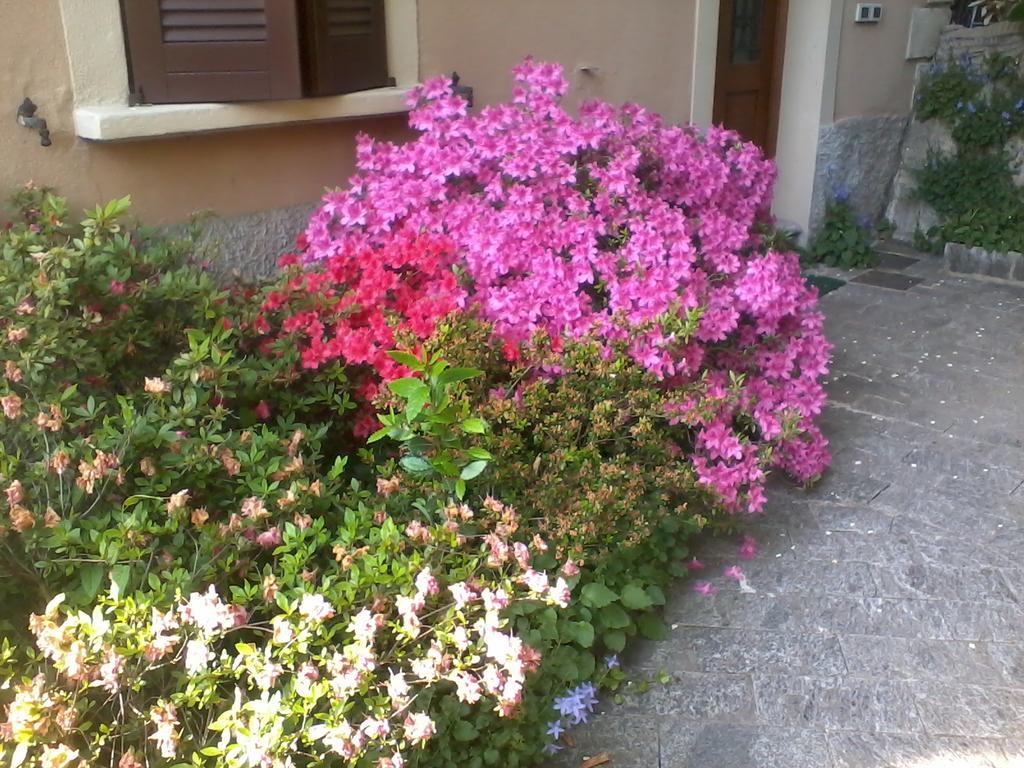 Apartment Casa Margherita *